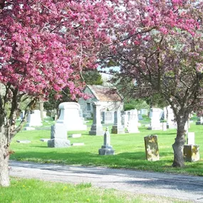 Spring in Columbia Cemetery
30 E Broadway, Columbia, MO 65203