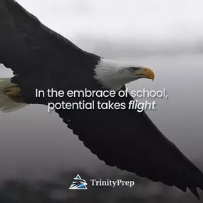 Trinity Preparatory School is a private high school in Charlotte, NC which serves students in grades 7-12, dedicated to helping students reach their full potential. It offers small class sizes, allowing for personalized attention and a specialized learning plan tailored to each student. The school is staffed with passionate and dedicated professors who foster academic excellence. Trinity Prep ensures a safe, secure, and bullying-free environment, creating a supportive community where students ca