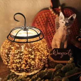 Bild von scentsy luna estilosa