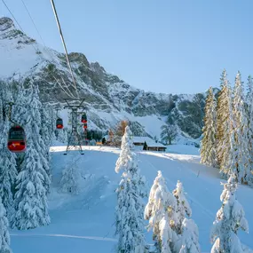 Panorama-Gondelbahn im Winter