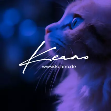 Logo von KEANO | Web & Brand Agency