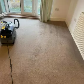 Bild von Bryan Carpet Cleaning Service