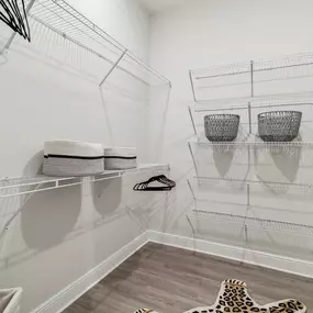 Large Closet with Organized Shelving