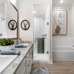 Oversized Bathroom with a Double-Sink Vanity, Separate Soaking Tub, & Standalone Frameless Glass-Enclosed Shower