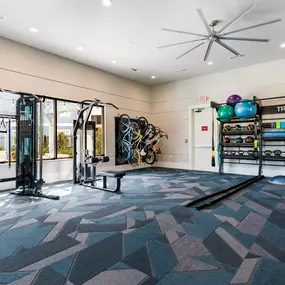 24/7 Fit & Lift Center Equipped with Precor Equipment
