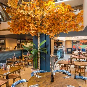Zizzi Farnham, cozy interior with vibrant murals and hanging orange foliage.