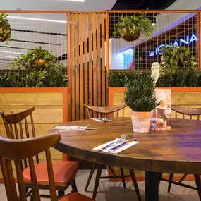 Interior view of Zizzi Sheffield Meadowhall's vibrant modern dining area at with rustic decor and natural accents.