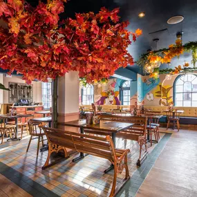 Zizzi Hereford, vibrant dining with hanging ceiling foliage and warm lighting.