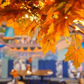 Zizzi Chiswick, showcases wooden tables and chairs beneath decorative copper foliage suspended from the ceiling.