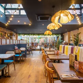 Zizzi Exeter, modern interior with hanging ceiling decor and foliage, and classy wall murals surround the restaurant walls.