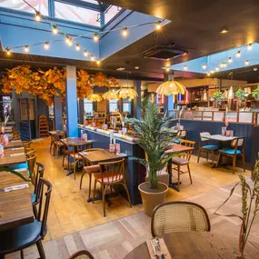 Zizzi Exeter, modern interior with hanging ceiling decor and foliage, and classy wall murals surround the restaurant walls.