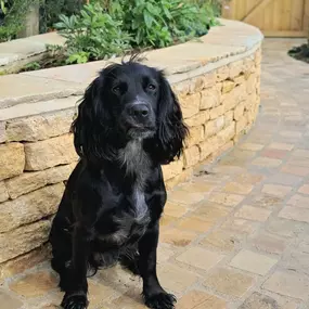 Bild von Fossil and Oak Landscapes