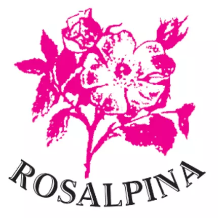 Logotyp från Albergo Meuble' Rosalpina