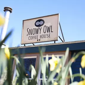 Snowy Owl Coffee House Brewster, MA