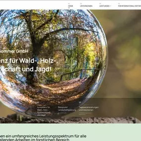 Bild von Hochhäuser Webdesign