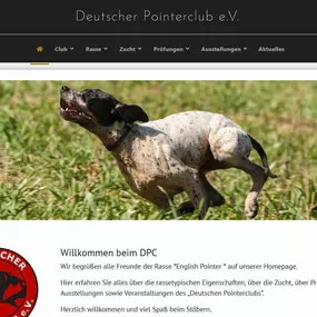 Bild von Hochhäuser Webdesign