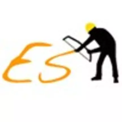 Logo de Ened services Emmen