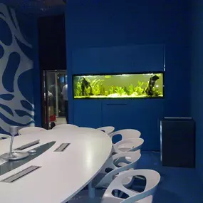 Aquarium Doc