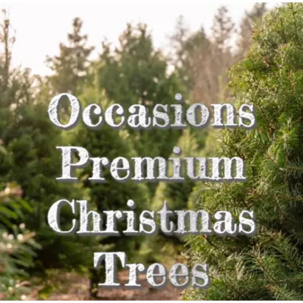 Logo van Occasions Premium Christmas Trees