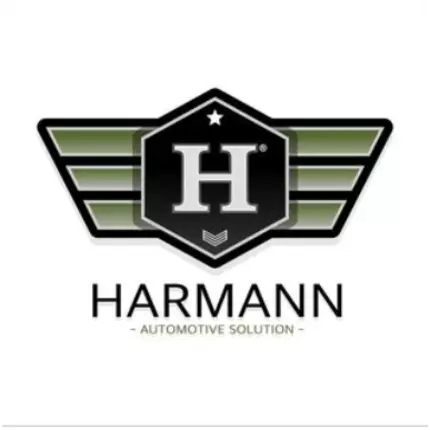 Λογότυπο από Harmann Automotive Solution®