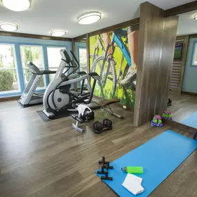 fitness center with a yoga mat and exercise ball, elliptical and treadmill