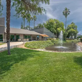 A fountain in front of the leasing office and palm trees