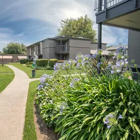 A sidewalk in front of apartment building