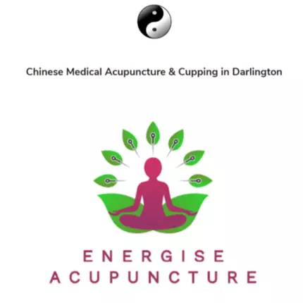 Logo da Energise Acupuncture