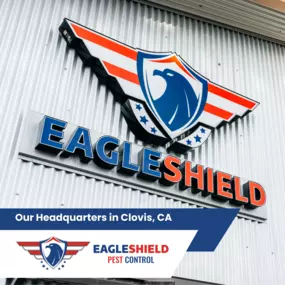 Bild von EagleShield Pest Control of Fresno