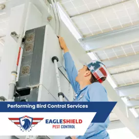 Bild von EagleShield Pest Control of Fresno