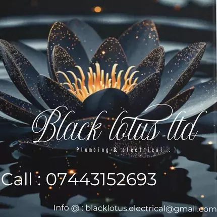 Logo from Black Lotus Plumbing and Electrical Ltd