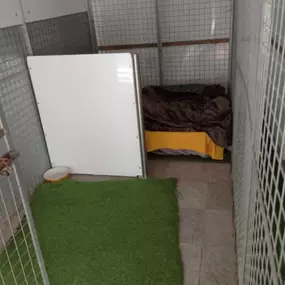 Bild von Thrift End Farm Kennels & Cattery