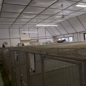 Bild von Thrift End Farm Kennels & Cattery