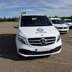 Taxi-Driver-Sevilla01.jpg