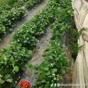 Bild von Les jardins de Loïc