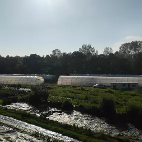 Bild von Les jardins de Loïc