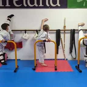 Bild von Mancino Academy Martial Arts