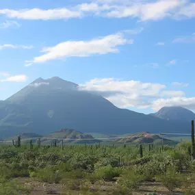 Bild von San Diego Baja Tours