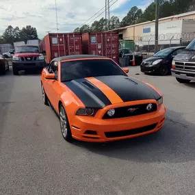 Mustang Wrap