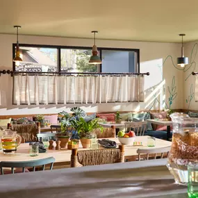 Backyard Café