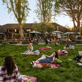 Outdoor Movie Nights