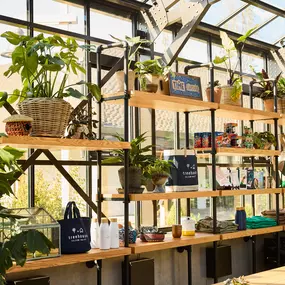 Knick Knacks Shop