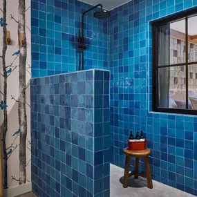 Rain Shower