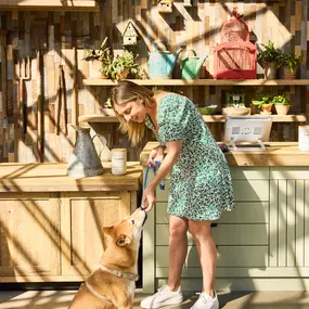 Pet-Friendly