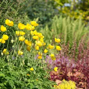 Bild von Peter Meier Gartenbau AG