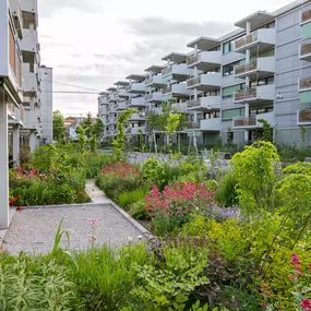 Bild von Göldi AG Gartenbau und Sportplatzbau