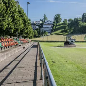 Bild von Göldi AG Gartenbau und Sportplatzbau