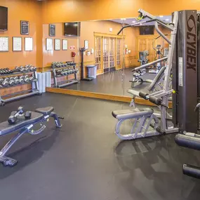 Health club  fitness center  gym