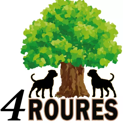 Logotipo de 4 Roures