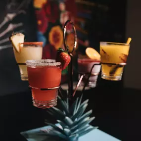 Bild von Nacho Padres